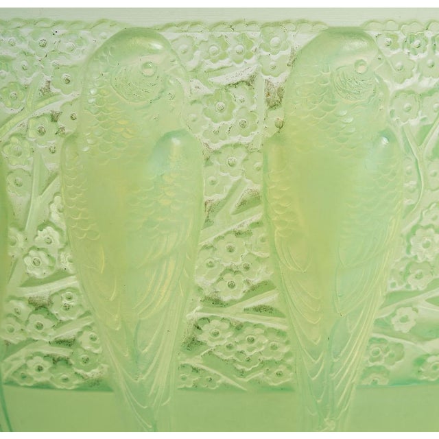 Parruches Cup in Peppermint by René Lalique, 1931 For Sale - Image 4 of 8