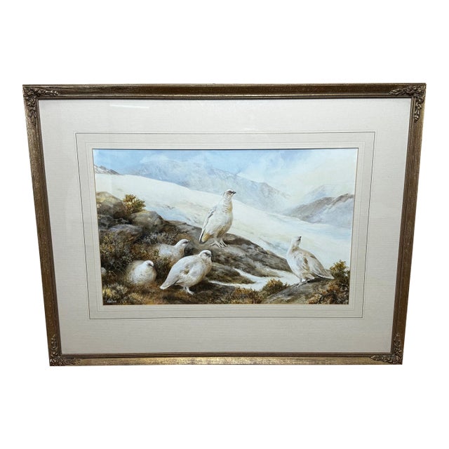 Ornithology Watercolor Highland Moors Wildlife Covey of Ptarmigan Game Birds by Neil Cox For Sale