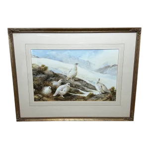 Ornithology Watercolor Highland Moors Wildlife Covey of Ptarmigan Game Birds by Neil Cox