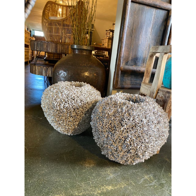 Sculpture Materials Vintage White Barnacle Shell Pot For Sale - Image 7 of 9