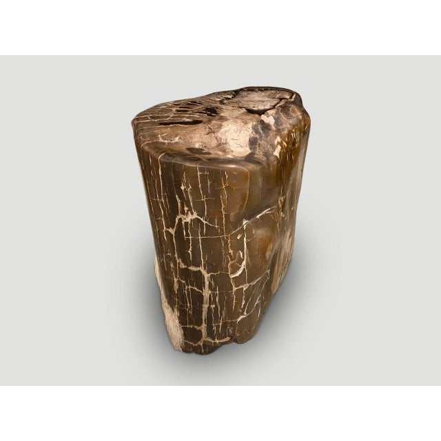 2010s Andrianna Shamaris Ancient Petrified Wood Side Table For Sale - Image 5 of 6