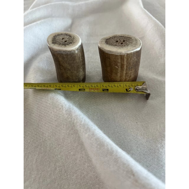 1980s Vintage Moose Antler Salt and Pepper Shakers For Sale - Image 5 of 6