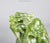 Early 20th Century Early 20th Century Pair of Vintage Chinese Foo Dog Statues in Jade Color For Sale - Image 5 of 8