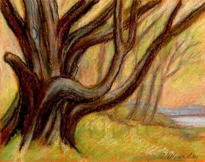 Reach, Original Pastel Painting, Tree, by Kathleen Ney