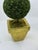 Vintage Christmas Holiday Topiary Potted Trees - A Set of 3 For Sale - Image 4 of 9