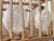 Antique Pine Cheese Aging Cage, 1850s For Sale - Image 10 of 13