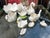 Up for consideration is a beautiful vintage collection of white ceramic swan bowls and figurines. These would look lovely...