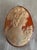 Italian Neapolitan Gold-Carved Shell Cameo Brooch Pendant, 1988 For Sale - Image 11 of 17