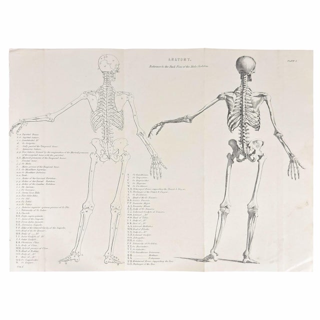 Contemporary 1845 Pair of Human Anatomy Monochrome Engravings | Encyclopaedia Metropolitana For Sale - Image 3 of 10