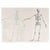 Contemporary 1845 Pair of Human Anatomy Monochrome Engravings | Encyclopaedia Metropolitana For Sale - Image 3 of 10