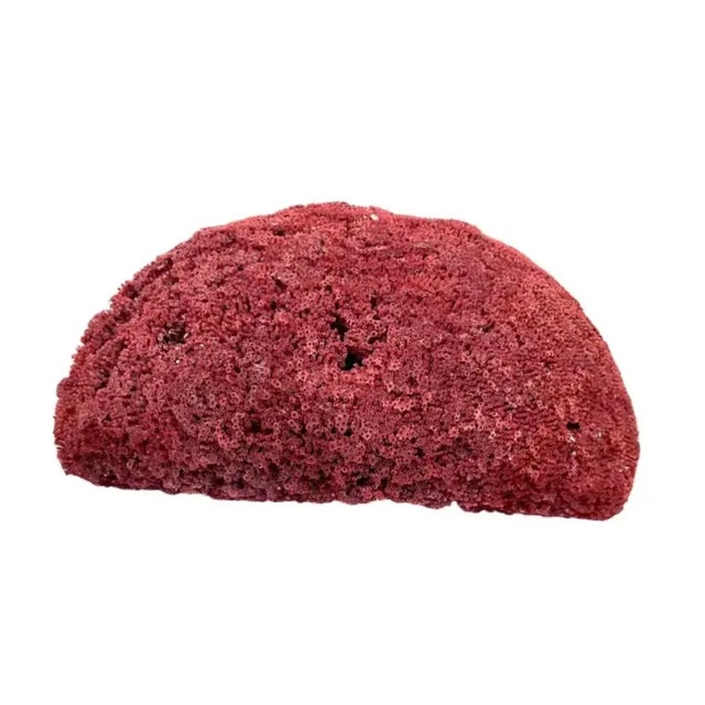 Ruby Red Large Natural Red Pipe Coral Specimen. #2 For Sale - Image 8 of 8