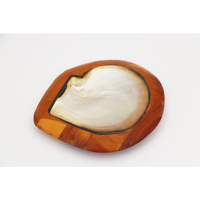 Wood Shell and Teak Root Wood Card Receiver or Trinket Tray in the Style of Alexandre Noll, France, 1950s For Sale - Image 7 of 13