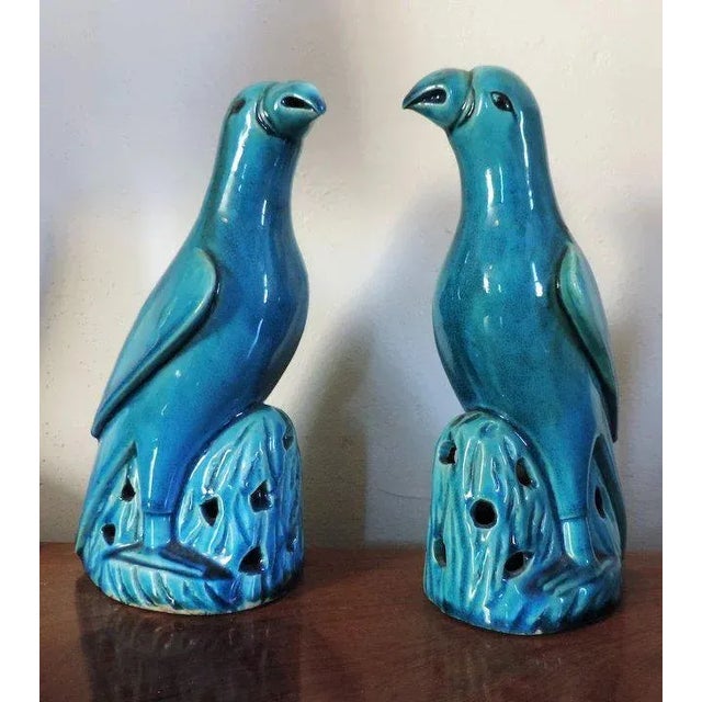 19th Century 19th Century Chinese Monochrome Porcelain Parrots in Turquoise Glaze - a Pair For Sale - Image 5 of 11