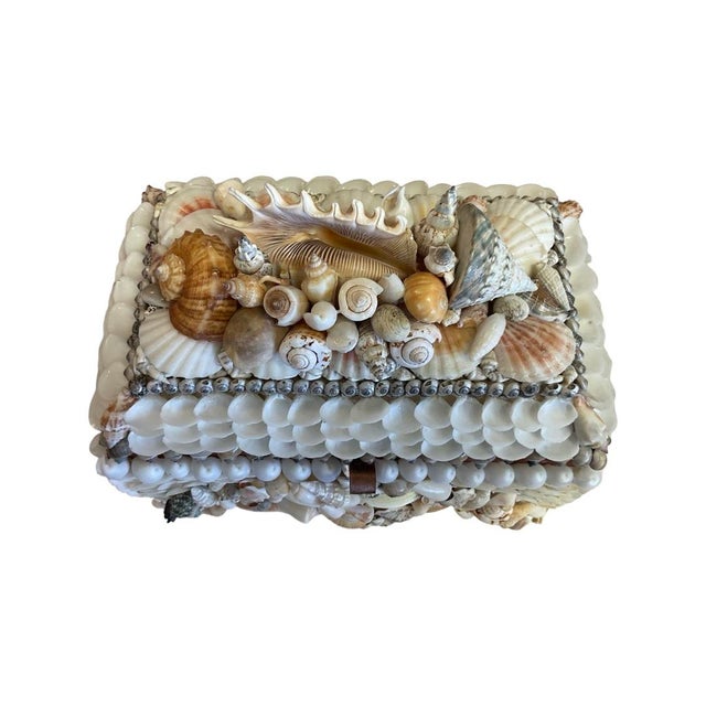 2020s Footed Natural and White Mixed Shell Box For Sale - Image 5 of 7