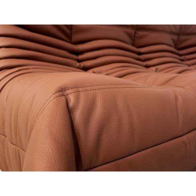 French Togo Sofa in Thick Cognac Cow Leather by Michel Ducaroy for Ligne Roset For Sale - Image 6 of 15