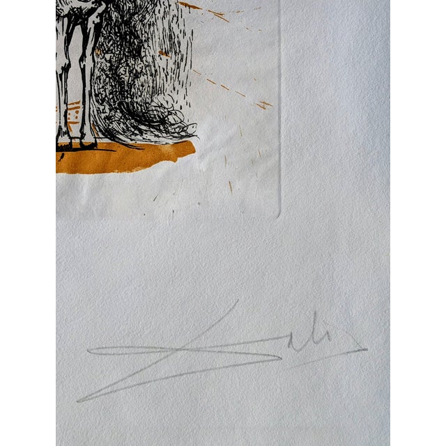 Salvador Dali - Knight with butterflies - Original Hand-Signed Etching and aquatint on wove paper (from the Suite...