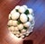 Up for sale is a stunning, vintage Italian majolica-style ceramic egg topiary centerpiece. This beautifully crafted 3D...