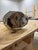 2020s Geometric Cat Sculpture in Polished Stainless Steel, 14"x9"x20" For Sale - Image 5 of 5