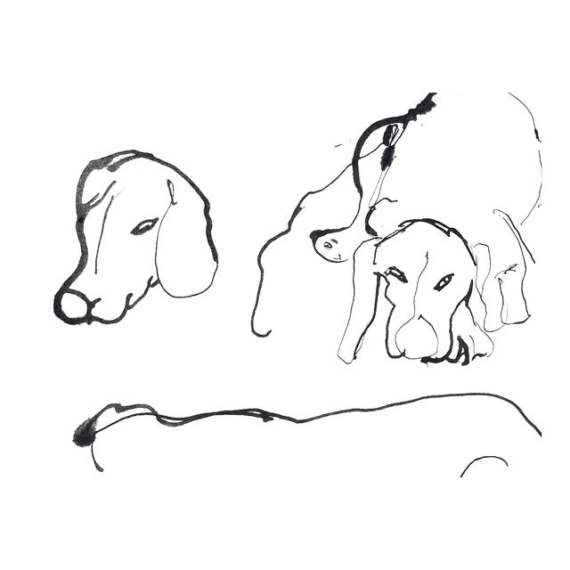 Beagle Faces - Portraits by Martha Holden For Sale