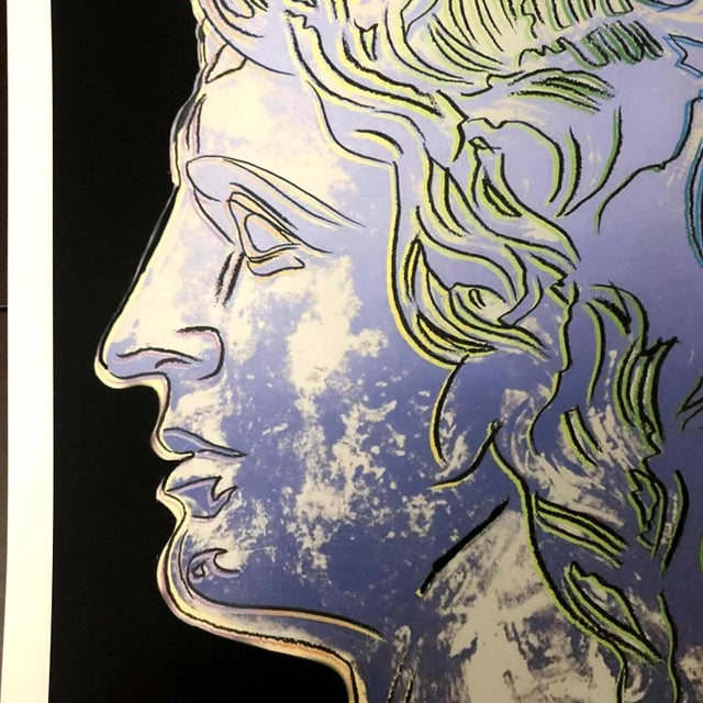 1990s 1990s After Andy Warhol "Alexander the Great" Lithograph For Sale - Image 5 of 11