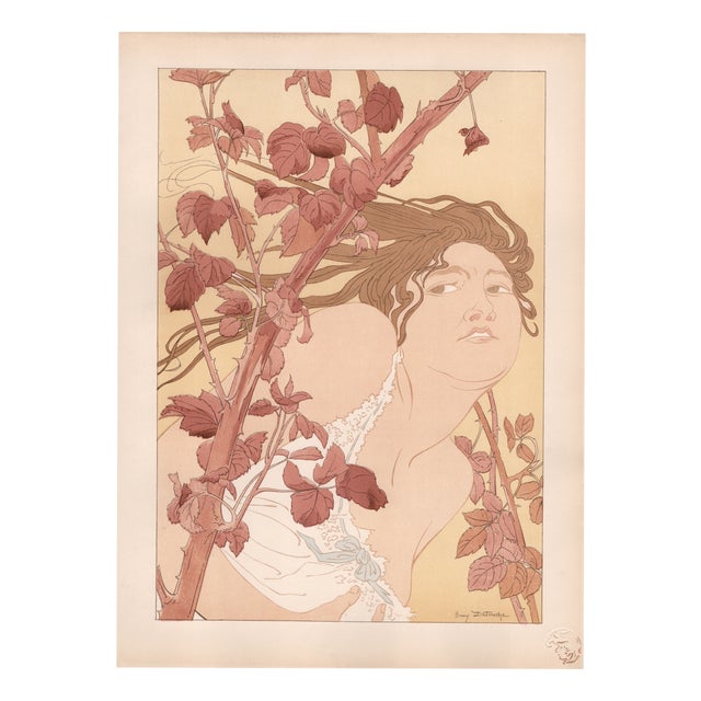 Henri Detouche, Dans les Ronces, Lithograph on Paper For Sale