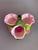 Antique 1800s Stevens and Williams Matsu-No-Ke Pastel Flower Sectioned Vase Bowl Tri Sectional Art Glass Bowl For Sale - Image 11 of 15