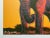 Andy Warhol Vintage 1986 Limited Edition Endangered Species Large Fine Art Lithograph Print " African Elephant " 1983 For Sale In Kansas City - Image 6 of 12