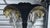 Mid 20th Century Maison Janseni Style French Palm Tree Gilt Floor Wall Sconces For Sale - Image 10 of 17