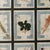 Large Italian Pressed Flowers and Herbs in Oak Frame, 1950s For Sale - Image 9 of 15