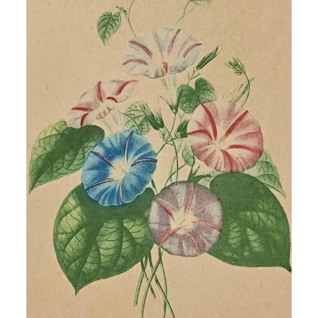 Edouard Maubert, Victorian Bouquet, Etching, 19th Century For Sale - Image 3 of 4