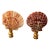 Pair of Coastal Sea Shell Lamp Finials Bronze For Sale