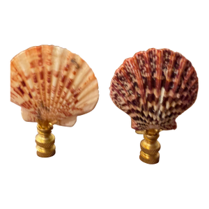 Pair of Coastal Sea Shell Lamp Finials Bronze