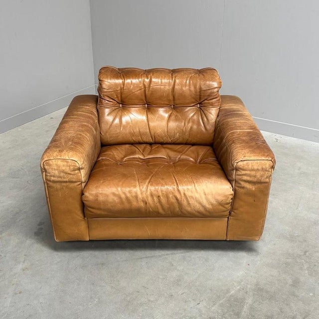DS40 Lounge Chair by Robert Haussmann for De Sede, 1970s For Sale - Image 3 of 14