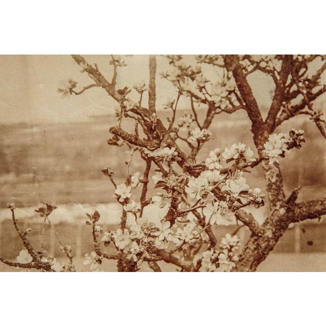 Eugene Atget, Photograph, 1900s For Sale - Image 3 of 7
