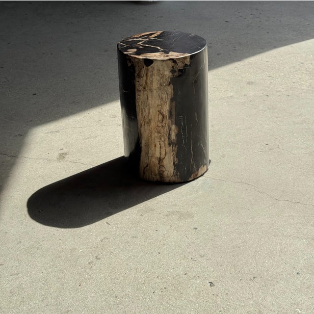 Side Table in Black Petrified Wood with Beige Stripes and Sides For Sale - Image 11 of 18