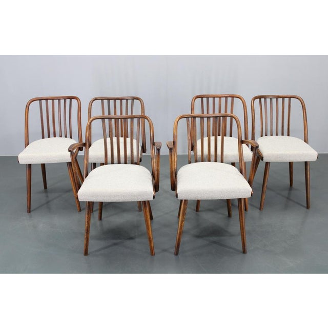 Wood Vintage Beech Dining Chairs by Antonin Suman, 1960s, Set of 6 For Sale - Image 7 of 18