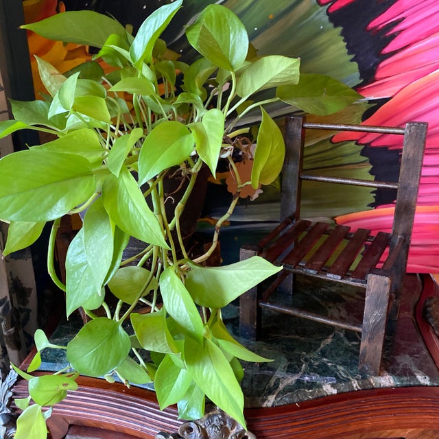 Vintage Woden Chairs Plant Holders For Sale In Atlanta - Image 6 of 7