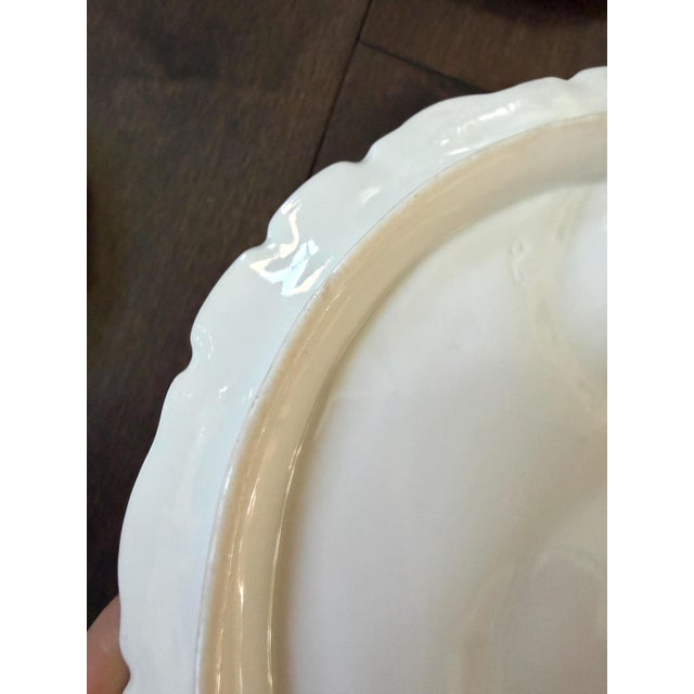 Set/6 Rare Antique French Haviland & Co. Limoges Porcelain Turkey Pattern Oyster Plate 8.75" With Sea Creatures For Sale - Image 11 of 16