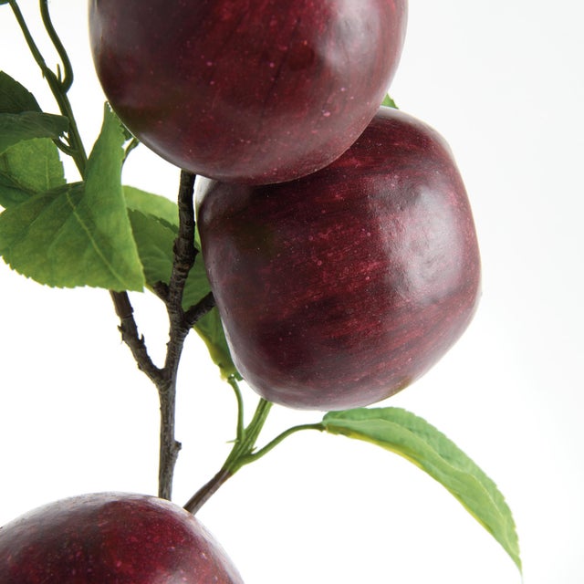 Realism Apple Branches 20" St/4 For Sale - Image 3 of 4