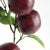 Realism Apple Branches 20" St/4 For Sale - Image 3 of 4
