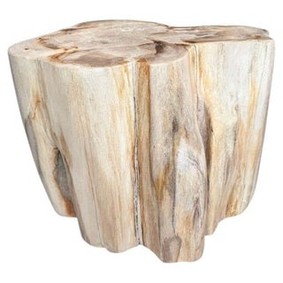 Andrianna Shamaris Impressive High Quality Ancient Petrified Wood Side Table For Sale