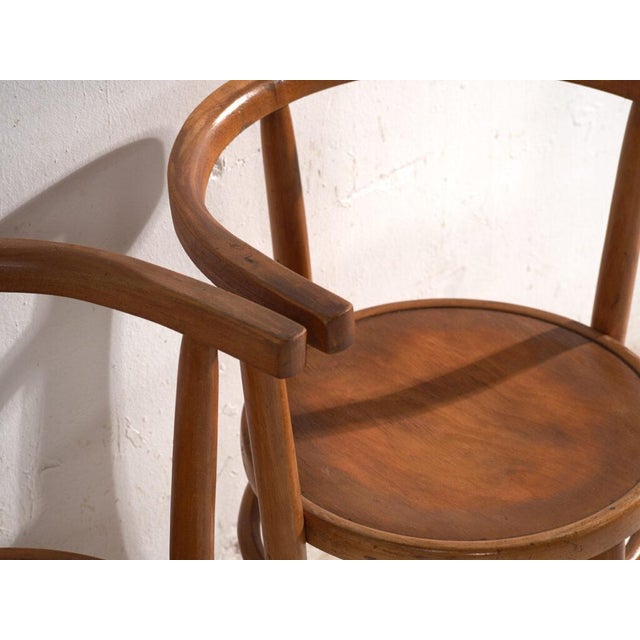 Mid 20th Century Bentwood Chairs in the style of Thonet, Hungary, 1960, Set of 2 For Sale - Image 5 of 13