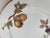 Victorian Mid 20th Century Royal Worcester England Evesham Fruit Design Porcelain Lunch Dessert Plate For Sale - Image 3 of 10