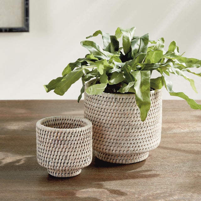 Early 21st Century Burma Rattan Cachepots Small, Set Of 2 For Sale - Image 5 of 7