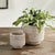 Early 21st Century Burma Rattan Cachepots Small, Set Of 2 For Sale - Image 5 of 7