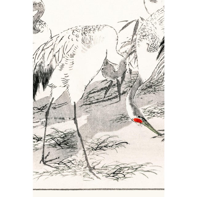A graceful study of Japanese red-crowned cranes among bamboo, reproduced from Pictorial Monograph of Birds (1885) by...