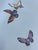 Blue 36"*96", Butterfly Wallpaper in Light Blue Ground Color For Sale - Image 8 of 8