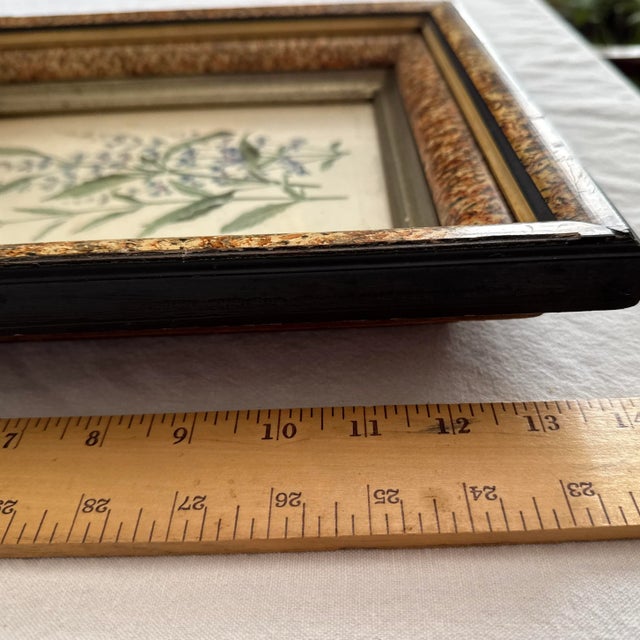 Early 20th Century Victorian Faux Bois Shadow Box Picture Frame For Sale In Nashville - Image 6 of 9
