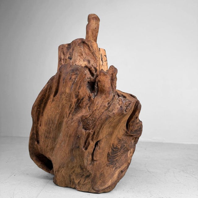 Japanese Koboku Root Wood Sculpture, 1960s For Sale - Image 15 of 16