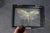 Black Framed Giant Katydid Shadow Box Specimen Display For Sale - Image 8 of 9